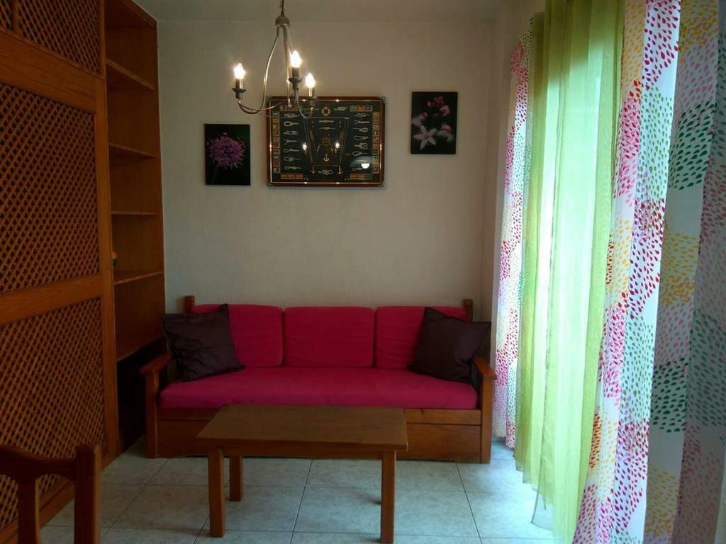 Studio Valle Luz Puerto de la Cruz  Eksteriør billede